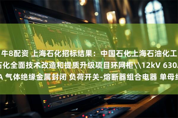 牛8配资 上海石化招标结果：中国石化上海石油化工股份有限公司上海石化全面技术改造和提质升级项目环网柜\12kV 630A 20kA 气体绝缘金属封闭 负荷开关-熔断器组合电器 单母线 馈出回路评标结果公示