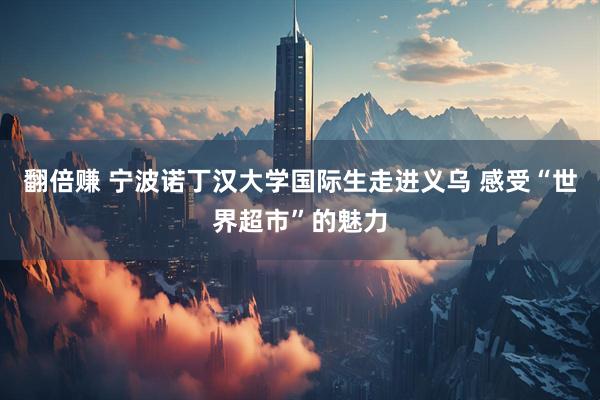 翻倍赚 宁波诺丁汉大学国际生走进义乌 感受“世界超市”的魅力